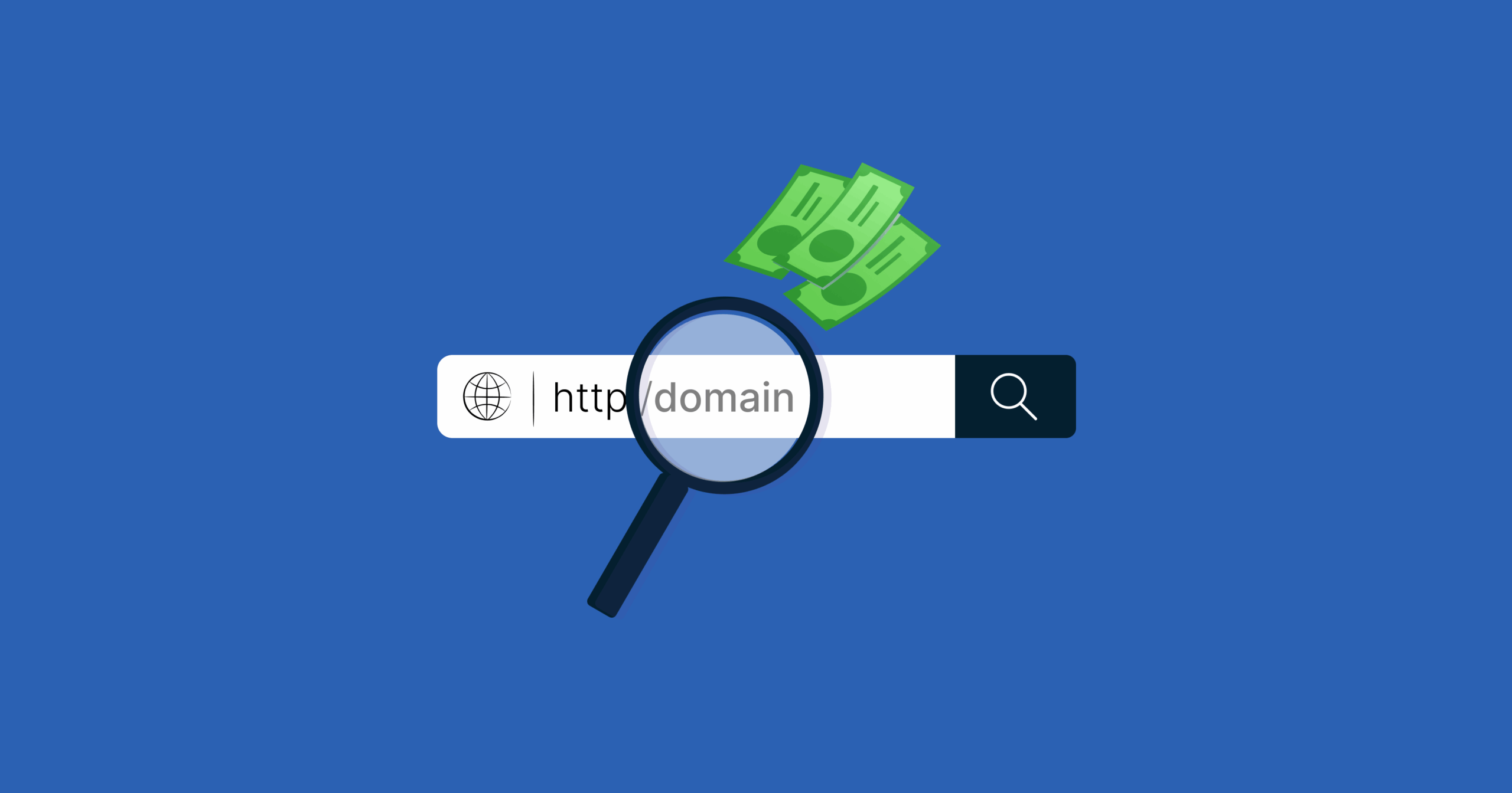 Domain Name
